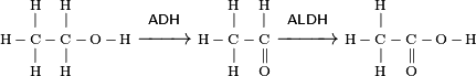 Standard metabolism of alcohol to acetaldehyde and then acetic acid