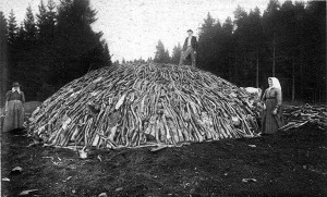Charcoal wood pile
