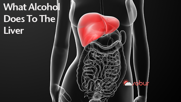 what alcohol does to the liver