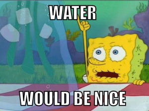 Dehydrated Sponge Bob Square Pants