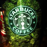 starbucks weed